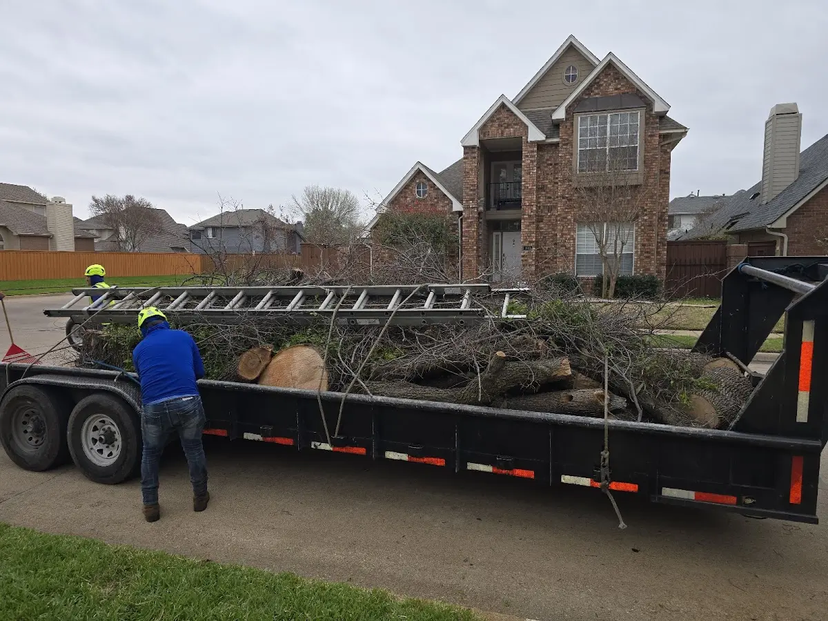 Expert Deadwooding with proper safety equipment in Galesburg